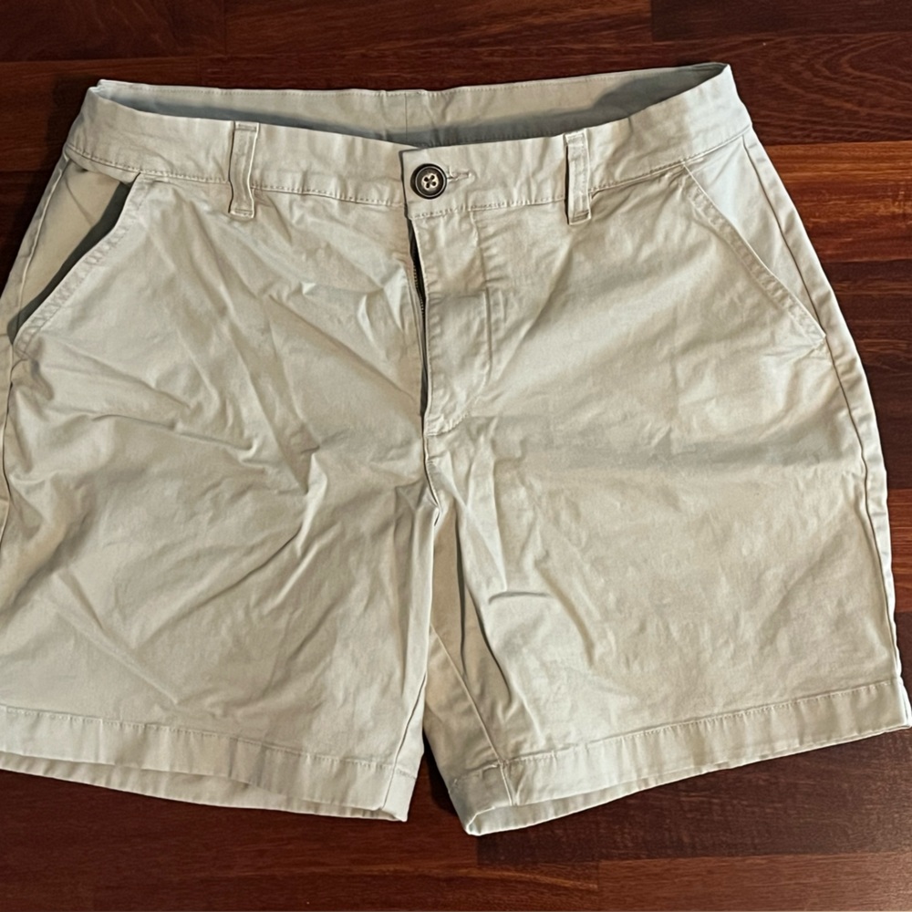 Chubbies stretch twill shorts